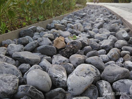 如何在千元机中找情怀 坚果手机上手评测