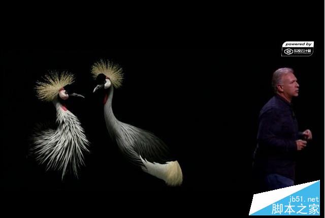  苹果iPhone6s抢先解析 