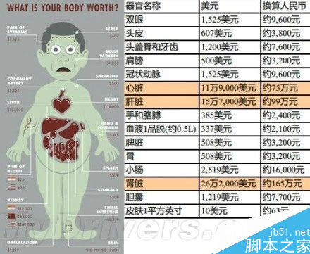 iPhone 6发布 “人体器官价位表”走红