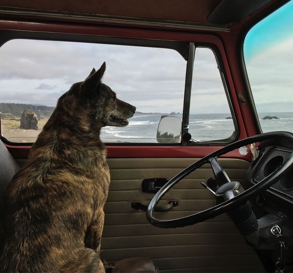 iPhone 6s怎么样？苹果iPhone 6s现场评测图解