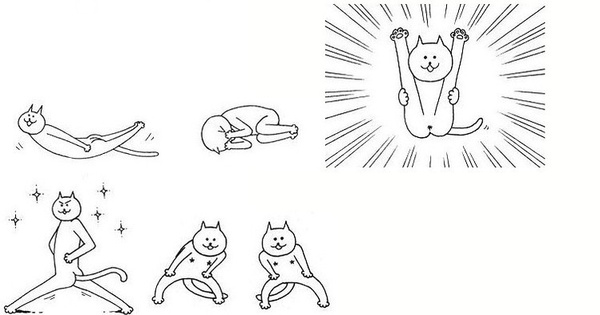 《围住神经猫》的人设原型来自《全是猫》