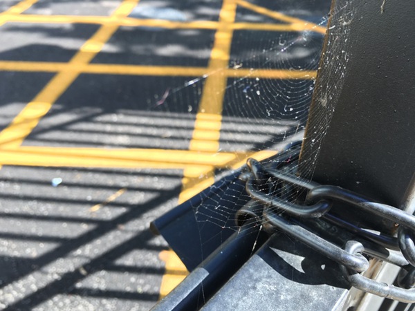 iPhone6s Plus怎么样 iPhone6s Plus详细评测图解