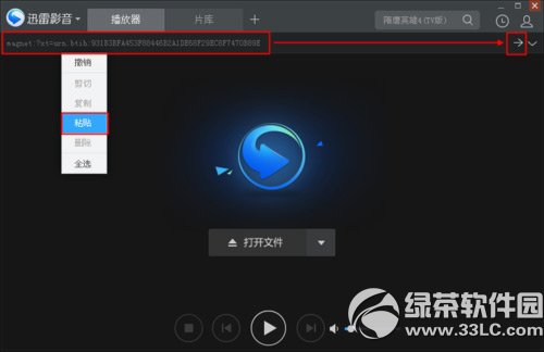 迅雷影音怎么看片?迅雷影音看片教程2