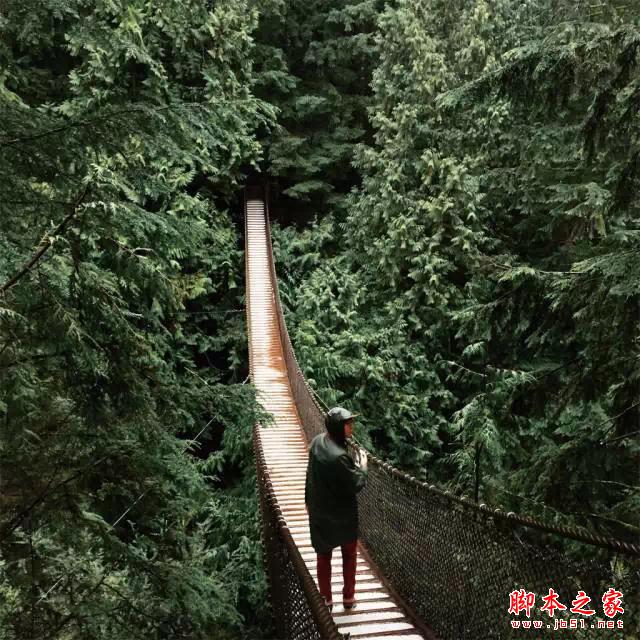 看完这组照片,都扔了单反!