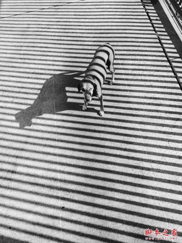 看完这组照片,都扔了单反!