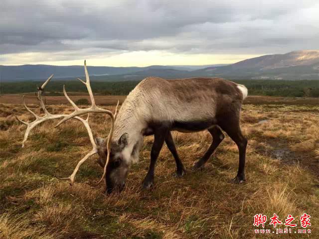看完这组照片,都扔了单反!