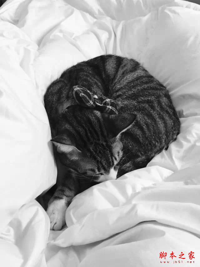 看完这组照片,都扔了单反!