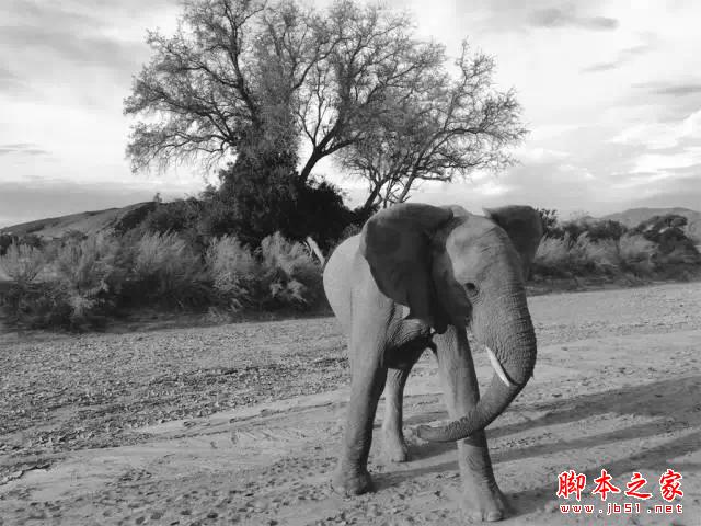 看完这组照片,都扔了单反!