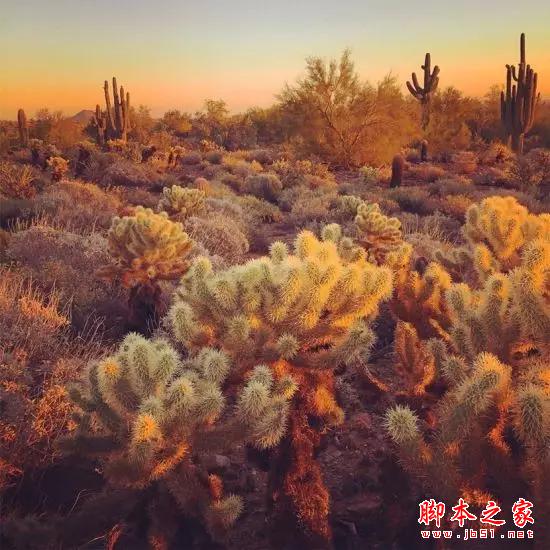 看完这组照片,都扔了单反!