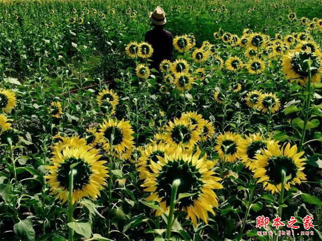 看完这组照片,都扔了单反!