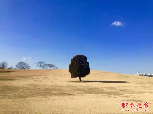 看完这组照片,都扔了单反!