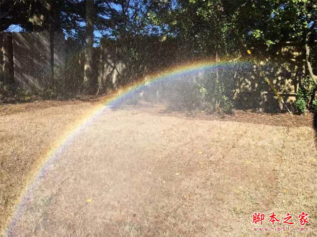 看完这组照片,都扔了单反!