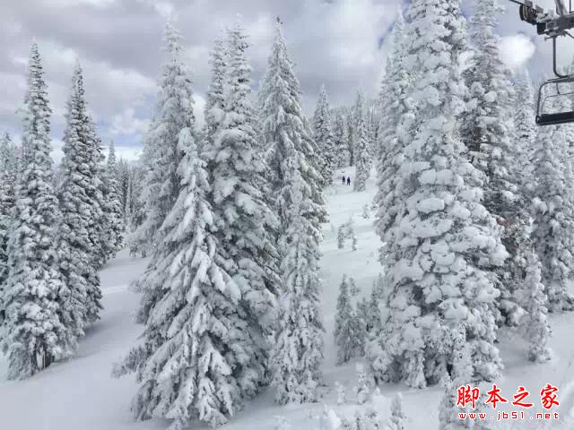 看完这组照片,都扔了单反!