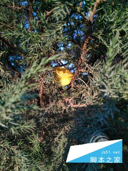 3GB内存！荣耀畅玩5X评测：千元大杀器