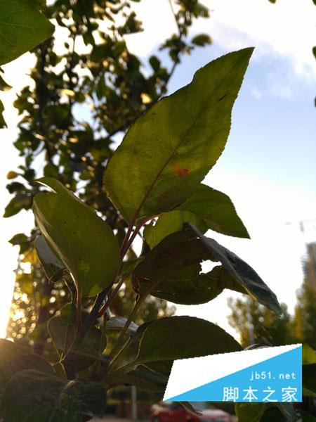 3GB内存！荣耀畅玩5X评测：千元大杀器