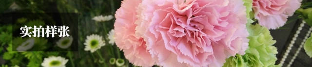 OPPO R7s拍照怎么样 OPPO R7s手机拍照性能对比评测