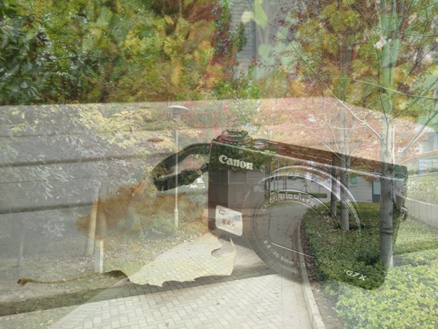 OPPO R7s拍照怎么样 OPPO R7s手机拍照性能对比评测