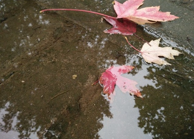 OPPO R7s拍照怎么样 OPPO R7s手机拍照性能对比评测