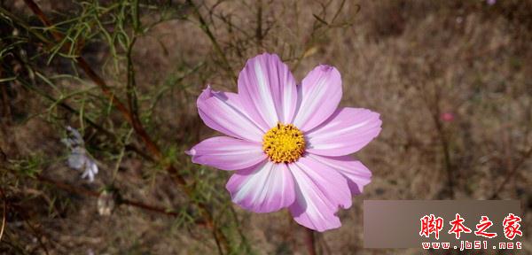 乐视超级手机1s怎么样？ 乐1s配置参数、跑分及续航全面评测