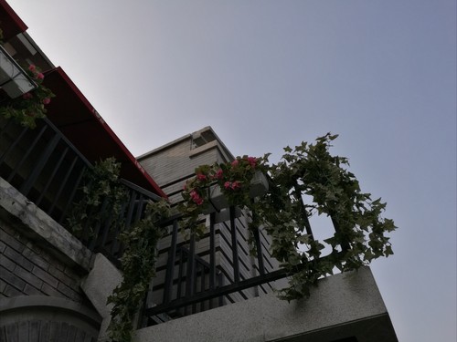 华为Mate 8拍照怎么样 华为Mate 8拍照体验评测