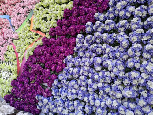 华为Mate 8拍照怎么样 华为Mate 8拍照体验评测