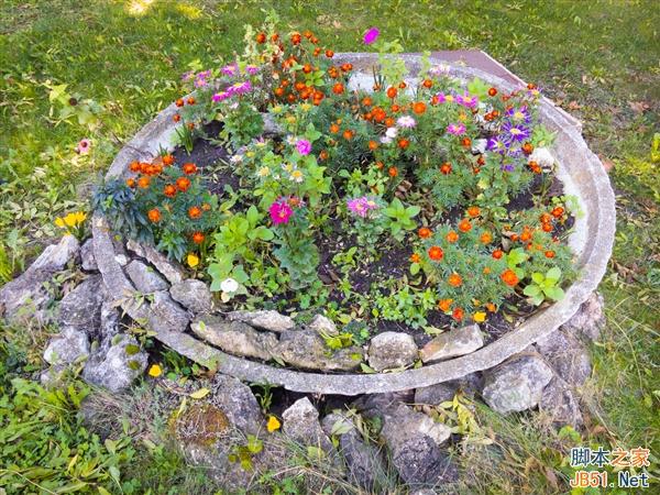 拍照:Android 5.0最猛的提升!