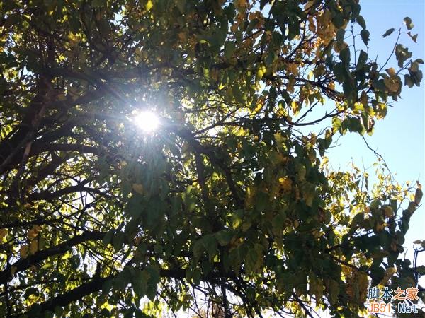 拍照:Android 5.0最猛的提升!