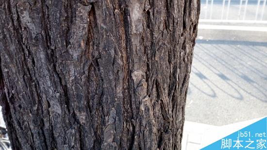 金属机身+指纹识别 华为畅享5S评测