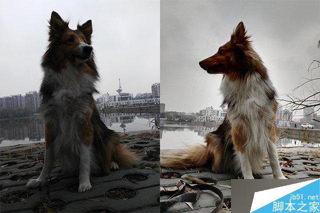 荣耀7i综合评测