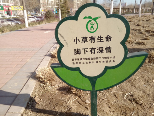 青葱metal怎么样 青葱metal手机评测