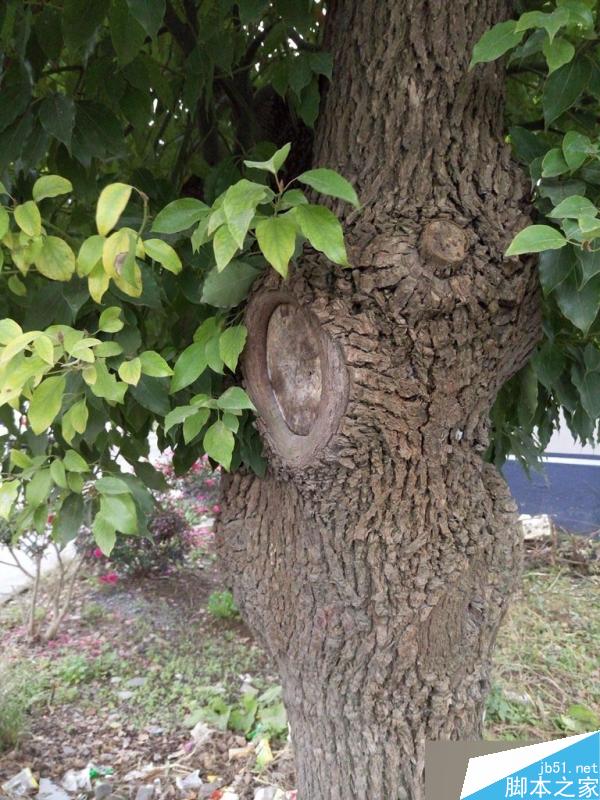 红米Note3详细评测视频