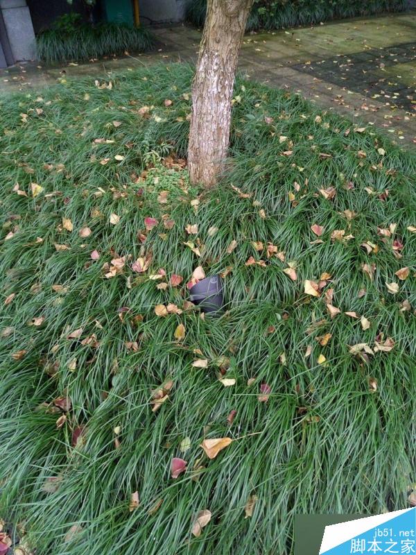 红米Note3详细评测视频