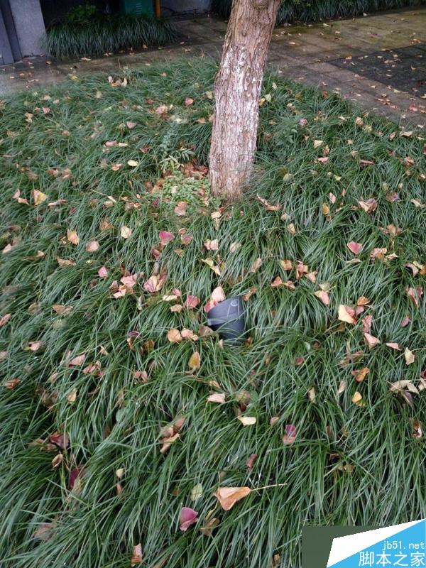 红米Note3详细评测视频