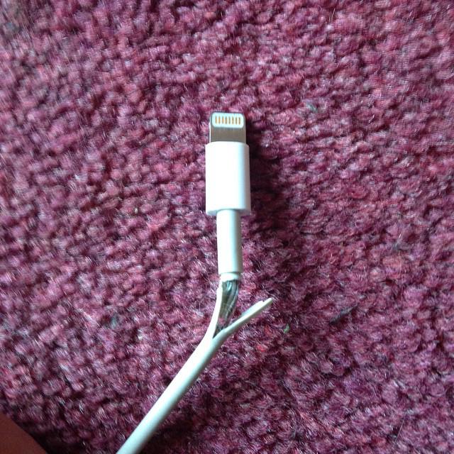 苹果，所有iPhone使用者，有件严重的事真的要跟你谈谈