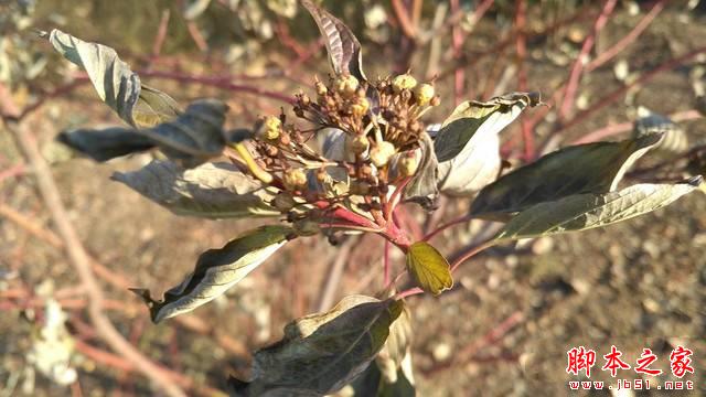 斐讯P860L全面评测 