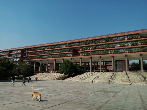 金立M5 Plus怎么样 最详细的金立M5 Plus评测