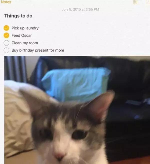 iOS 9公测版发布，分屏功能炫酷上线