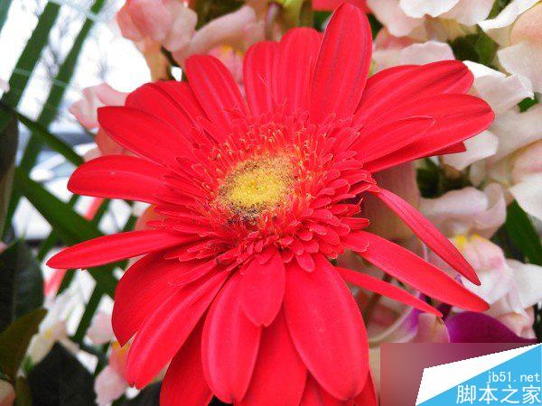 锤子手机T2详细评测