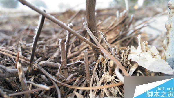 锤子手机T2详细评测