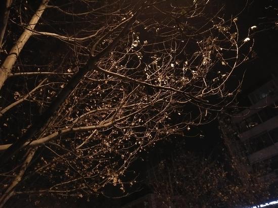 金属颜值拍照手机 OPPO A53评测