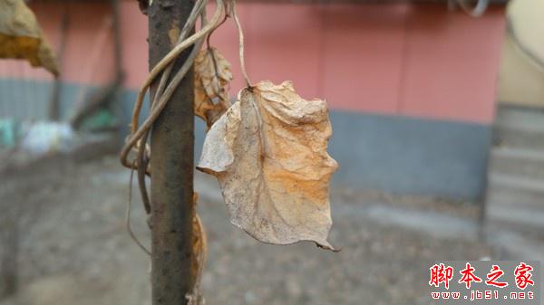 红米3评测:与红米Note3相比存在哪些差距?