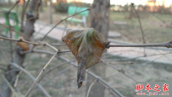 红米3评测:与红米Note3相比存在哪些差距?