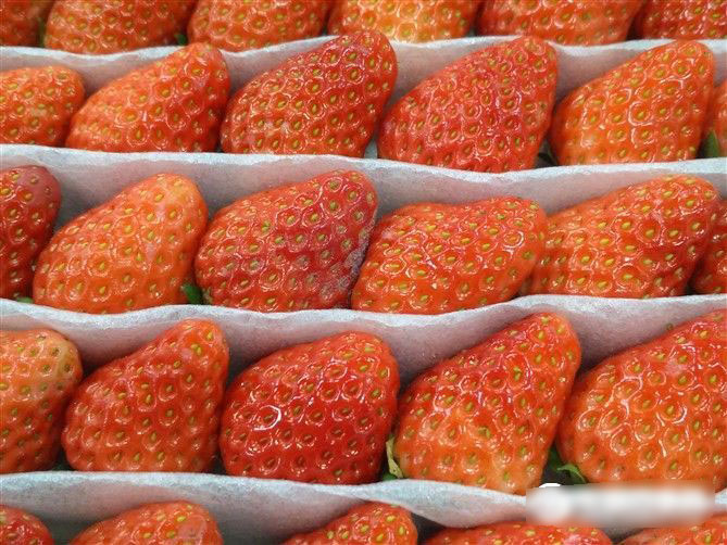 红米3和坚果手机哪个好 拍照对比