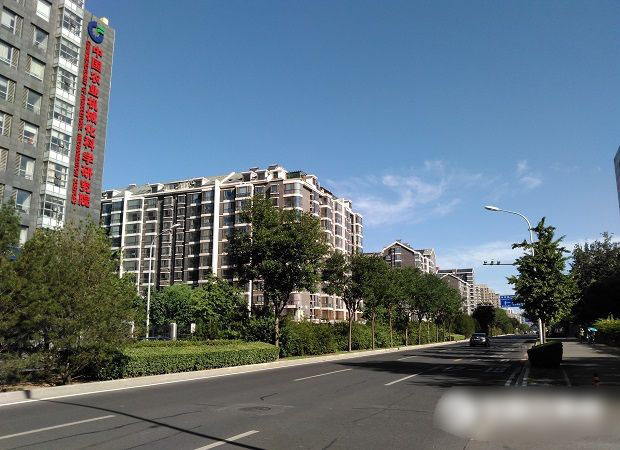 红米3和坚果手机哪个好 拍照对比g