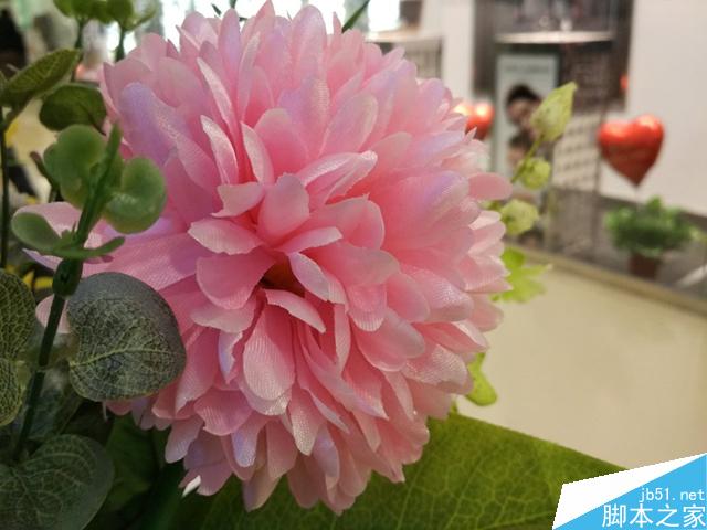 锤子T2和小米4C完全对比