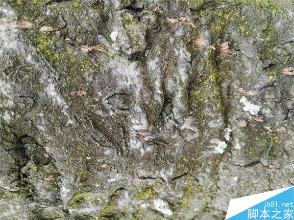 华为G7 Plus上手使用体验评测