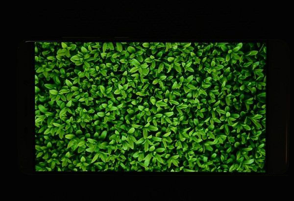 6英寸2K顶级屏 360奇酷极客版屏幕评测