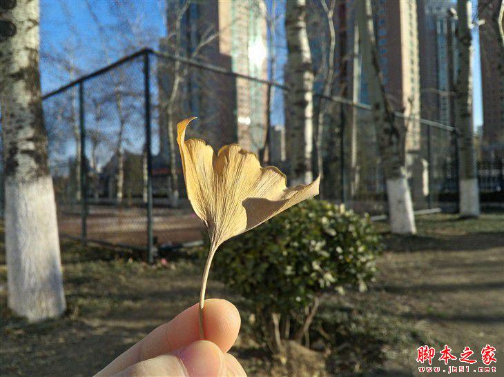 最薄的全网通手机 ivvi 小i Plus评测 