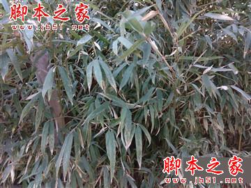 升级不止一点点 红米Note3全网通版体验