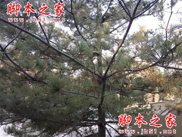 升级不止一点点 红米Note3全网通版体验